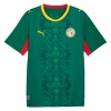 Fodboldtøj Senegal Udebanetrøje VM 2026